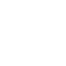 PROFESYONEL
